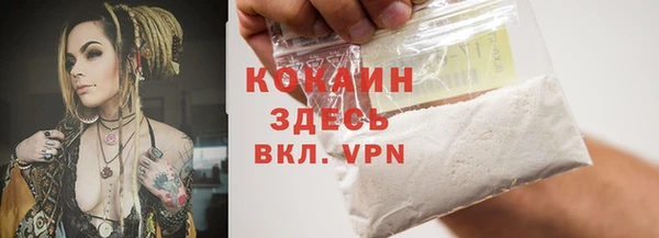 spice Алзамай