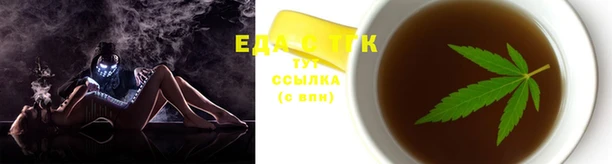 прущие грибы Новодвинск