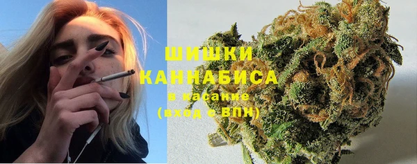 spice Алзамай