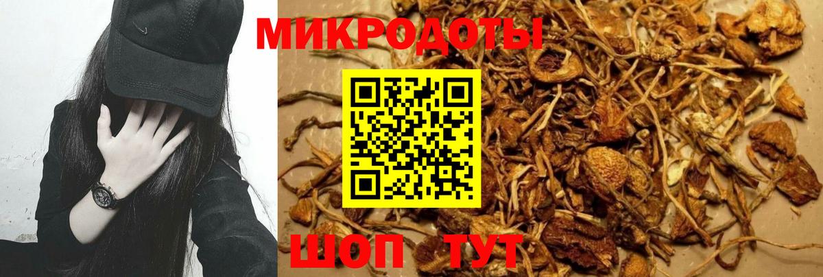 наркота  Псилоцибиновые грибы GOLDEN TEACHER  Вход с VPN  Березники 