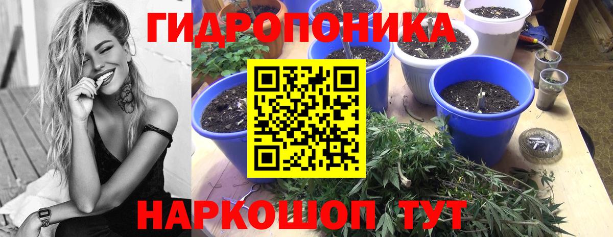 Марихуана Amnesia Березники